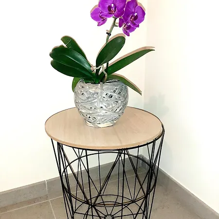 Cascina San Giulio * San Damiano dʼAsti